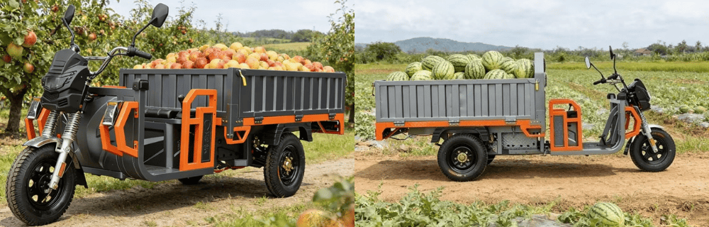 Electric Cargo Tricycle 1