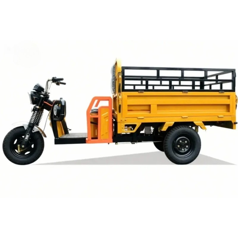 Electric Cargo Tricycle 3