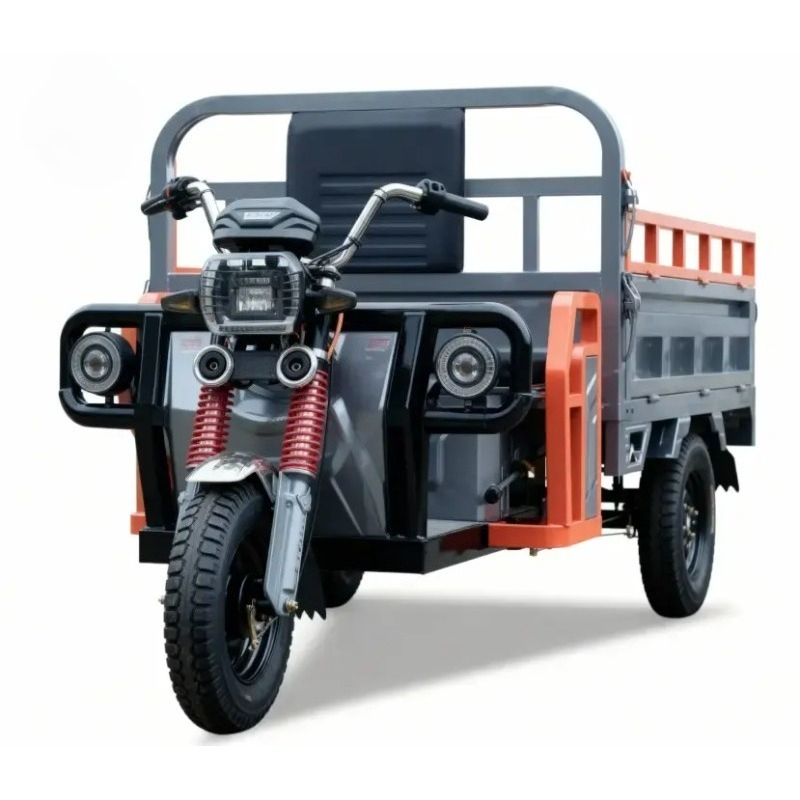 Electric Cargo Tricycle 3
