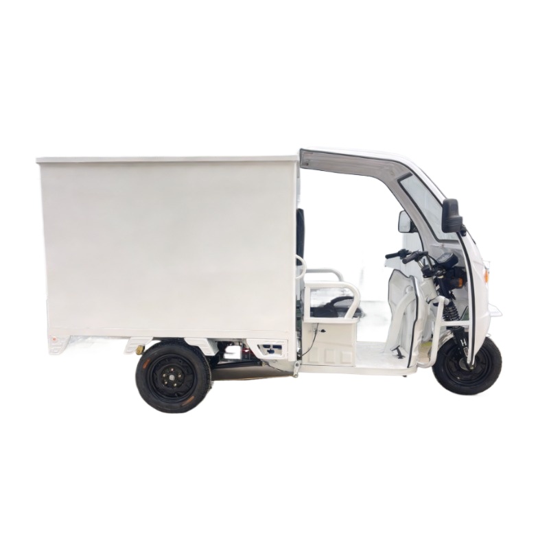 Electric Cargo Tricycle 4