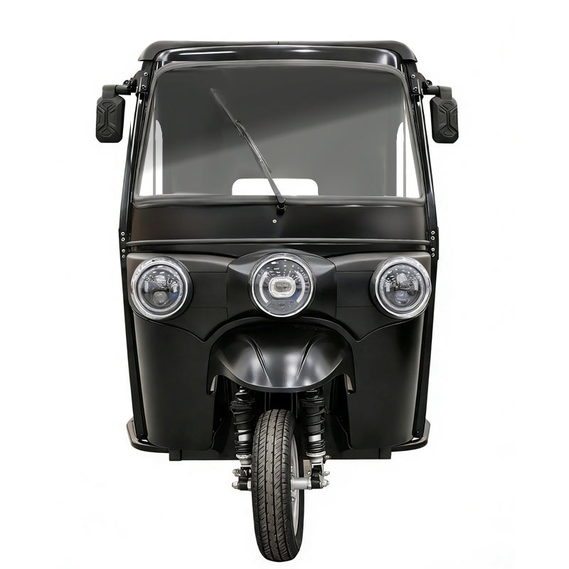 Electric Passenger Tricycle 1