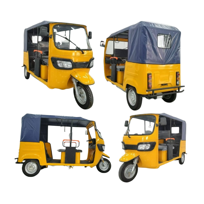 Electric Passenger Tricycle 3