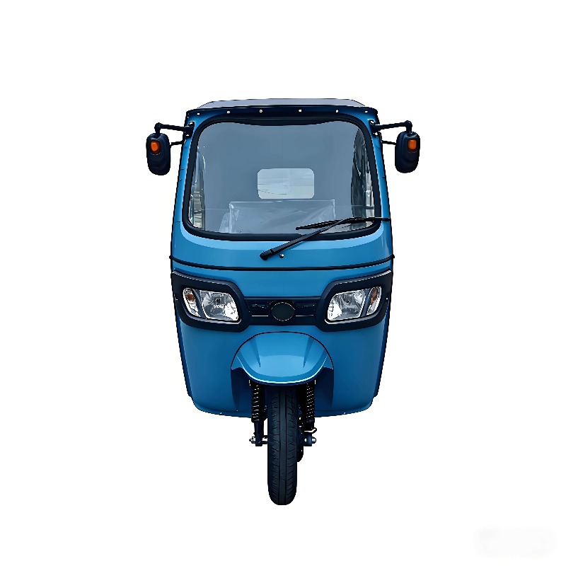 Electric Passenger Tricycle 6