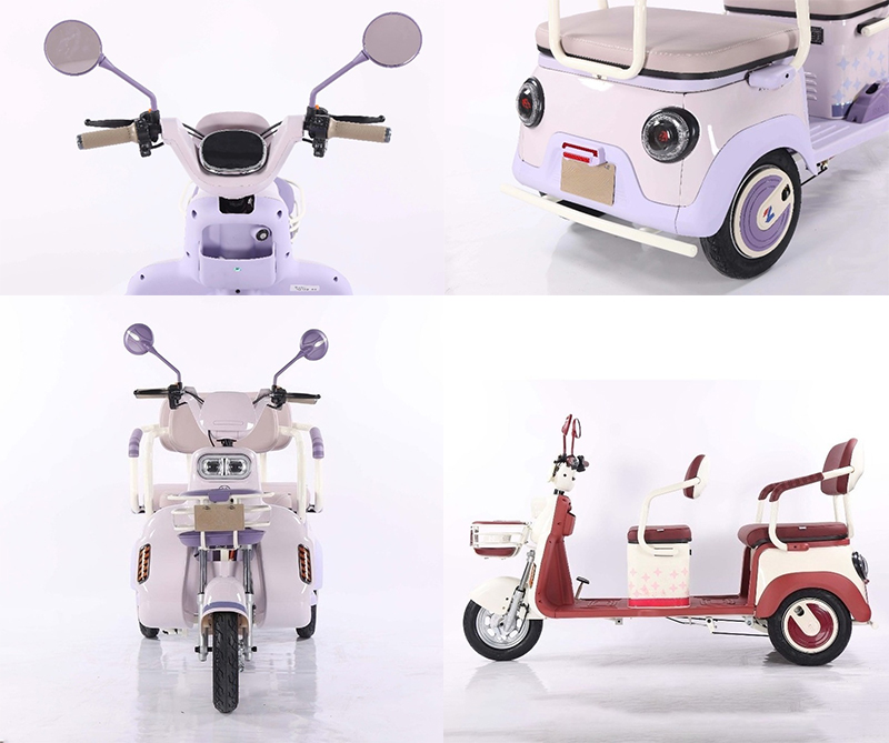 Electric Leisure Tricycle 1
