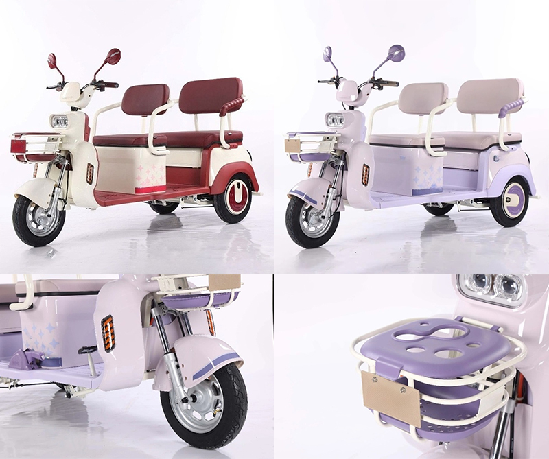 Electric Leisure Tricycle 1