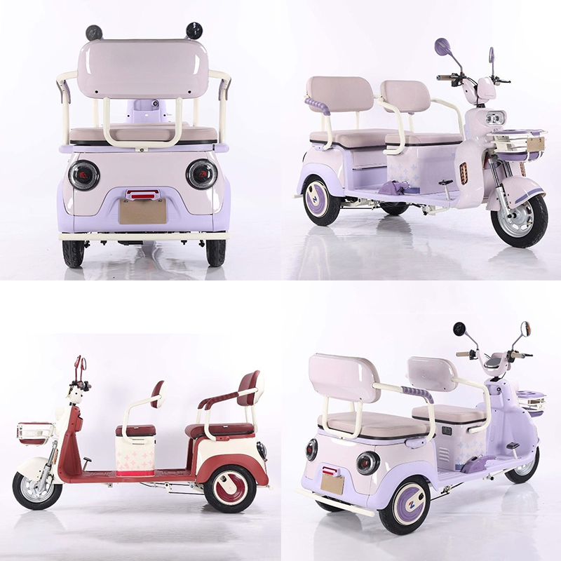 Electric Leisure Tricycle 1