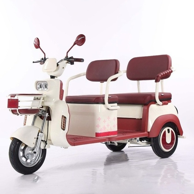 Electric Leisure Tricycle 1