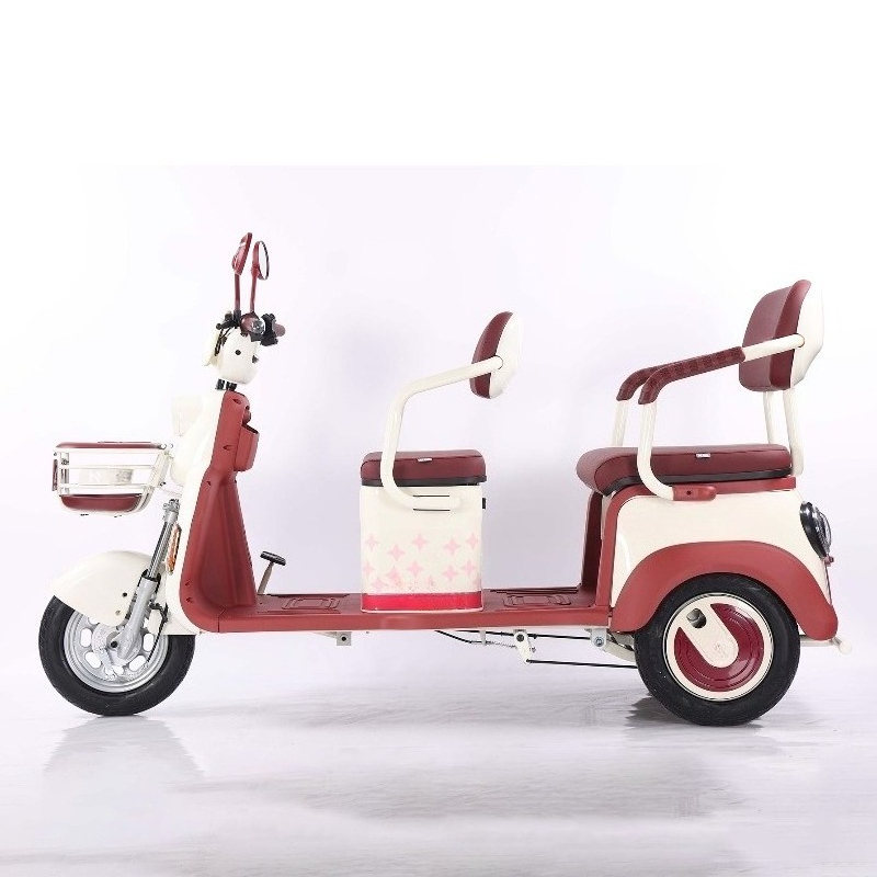 Electric Leisure Tricycle 1