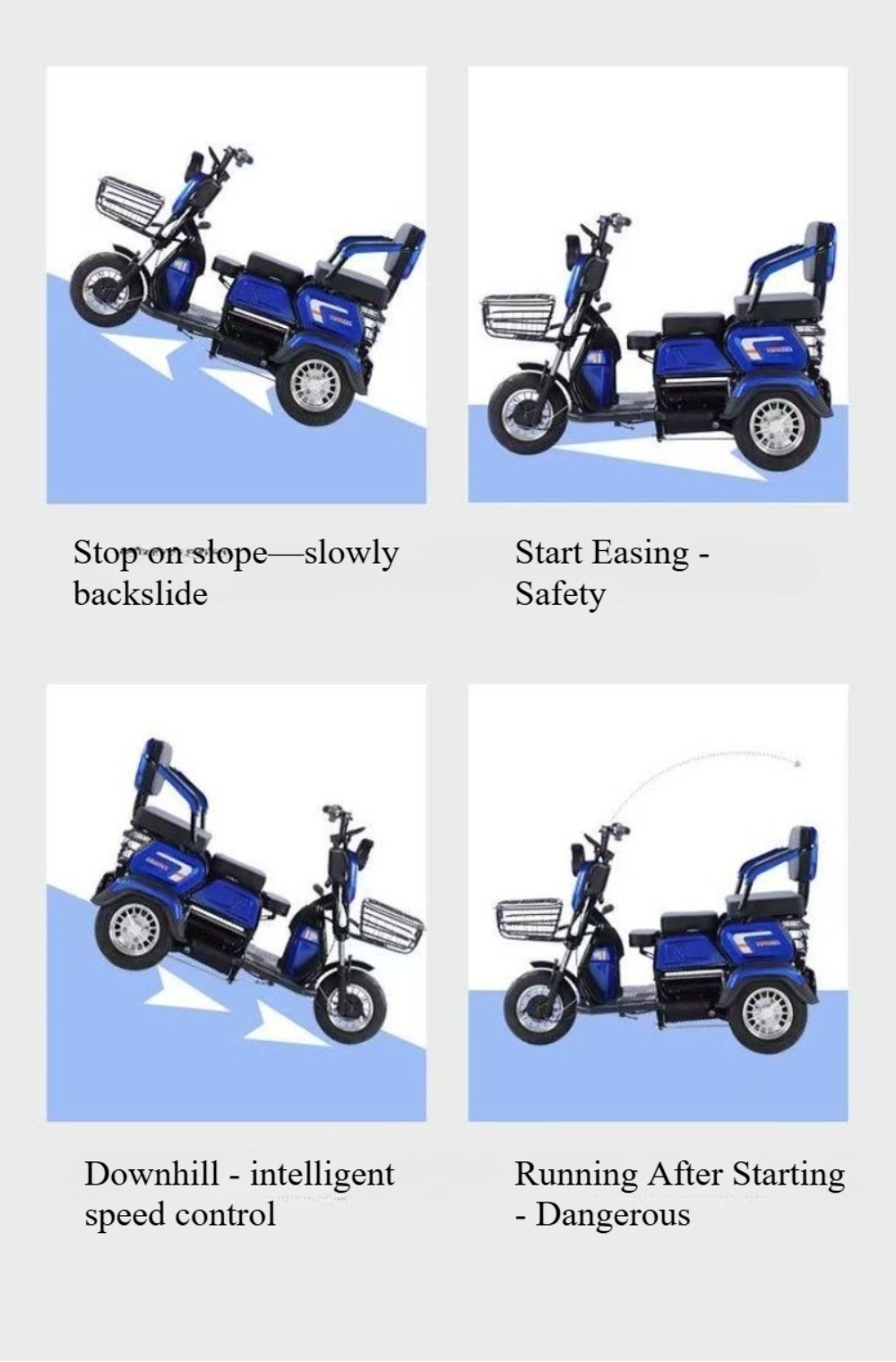 Electric Leisure Tricycle 2
