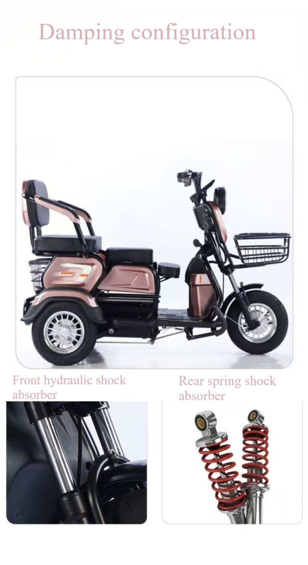 Electric Leisure Tricycle 2