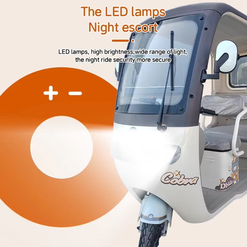 Electric Leisure Tricycle 3
