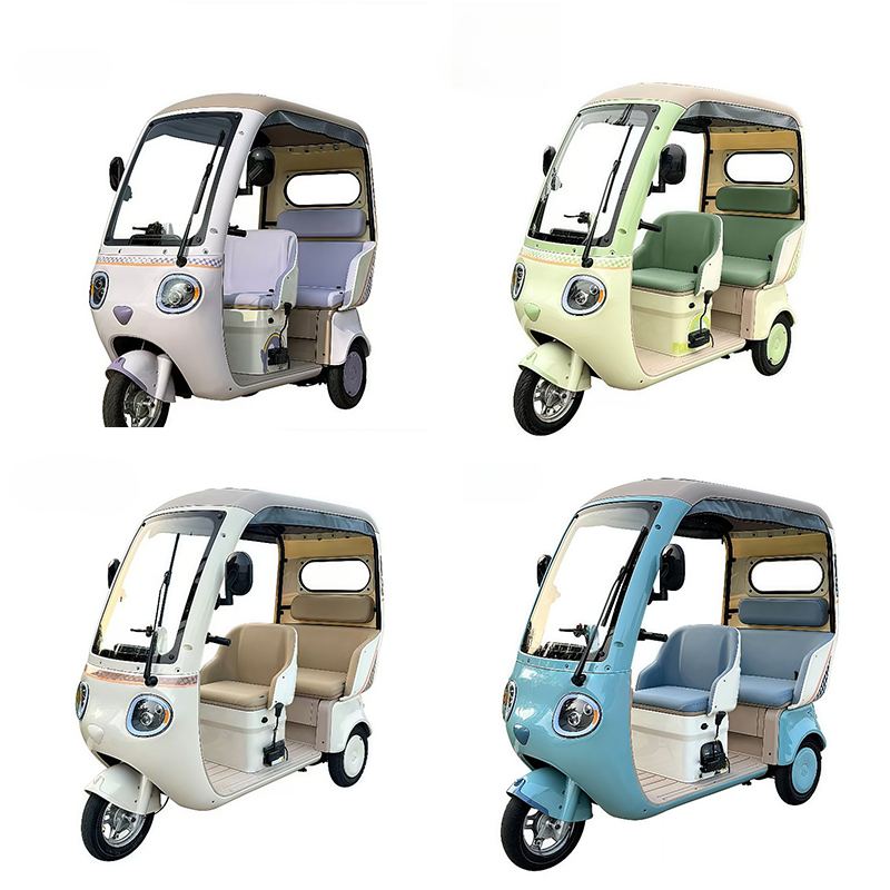 Electric Leisure Tricycle 3