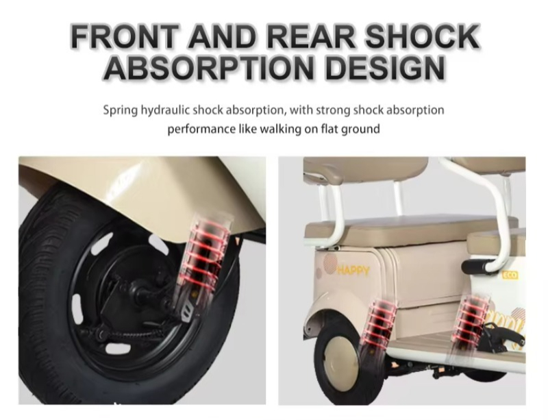 Electric Leisure Tricycle 3