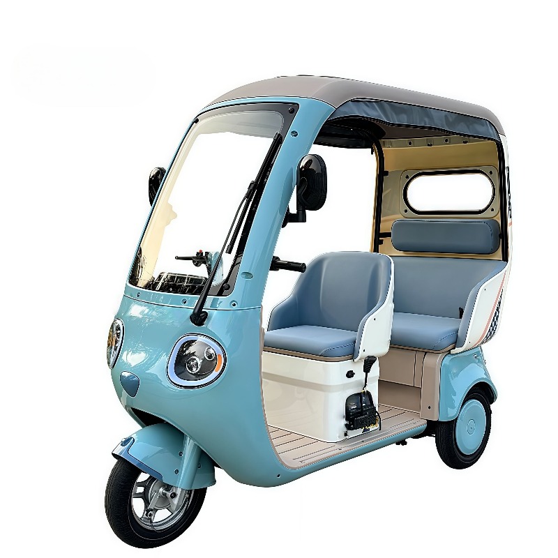 Electric Leisure Tricycle 3
