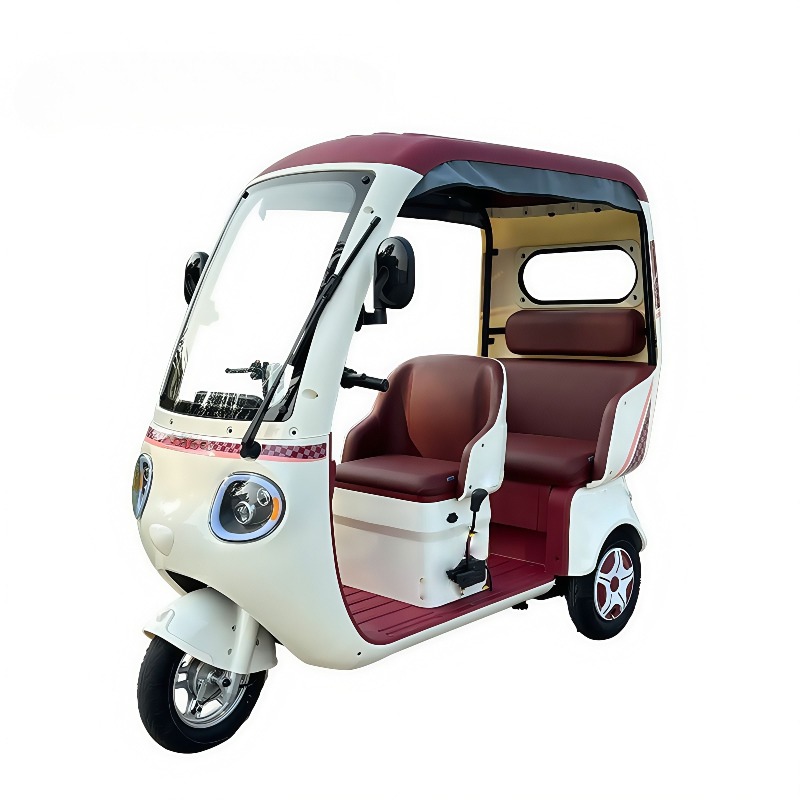 Electric Leisure Tricycle 3