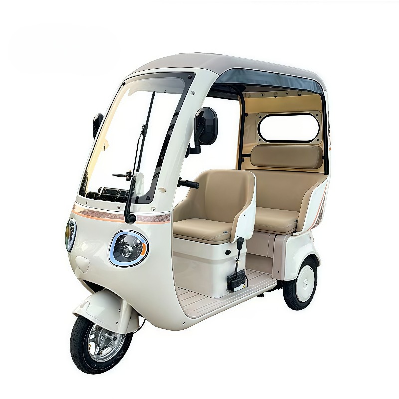 Electric Leisure Tricycle 3