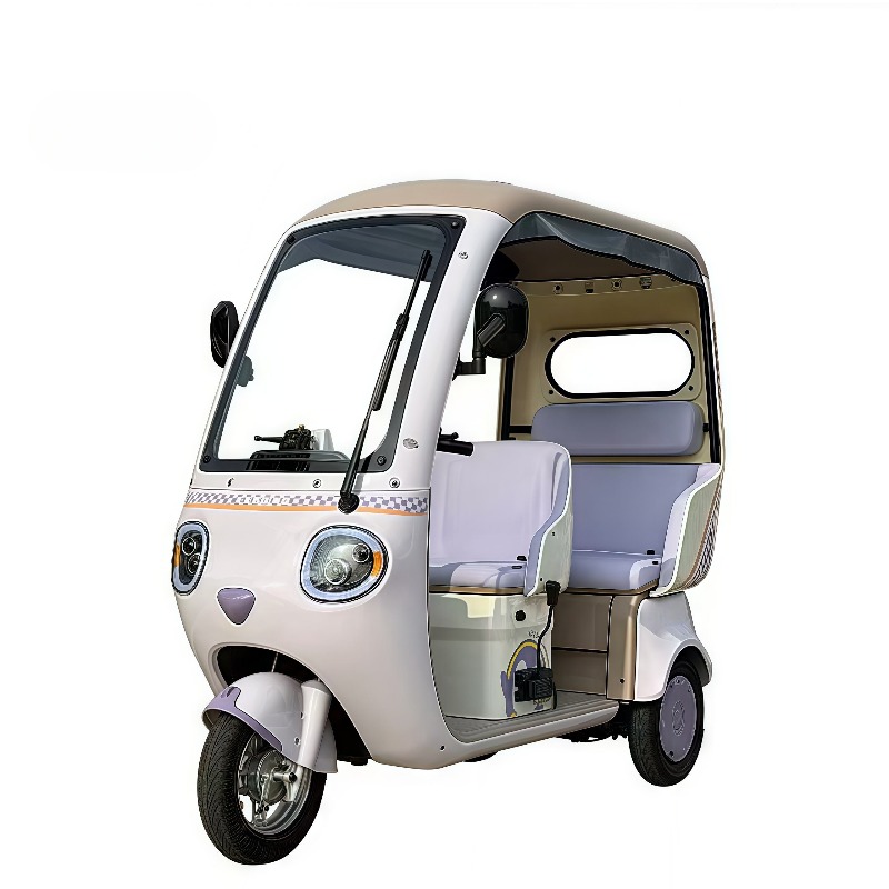 Electric Leisure Tricycle 3