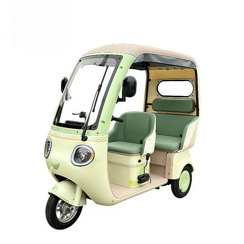 Electric Leisure Tricycle 3