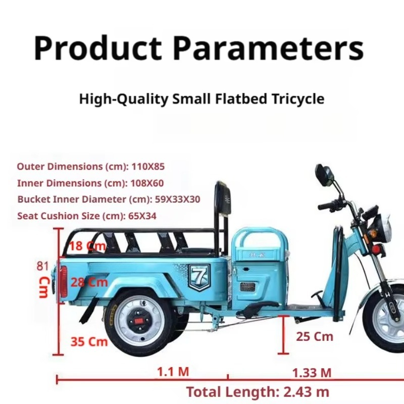 Electric Leisure Tricycle 4