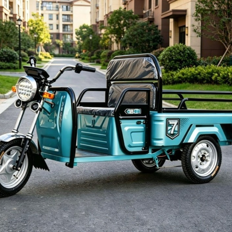 Electric Leisure Tricycle 4