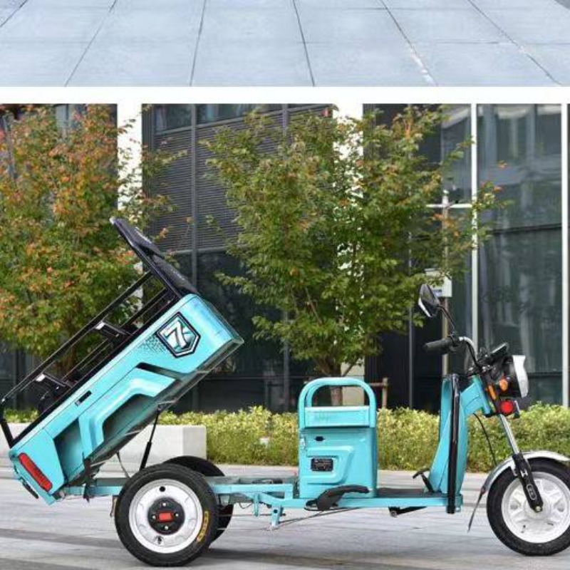 Electric Leisure Tricycle 4