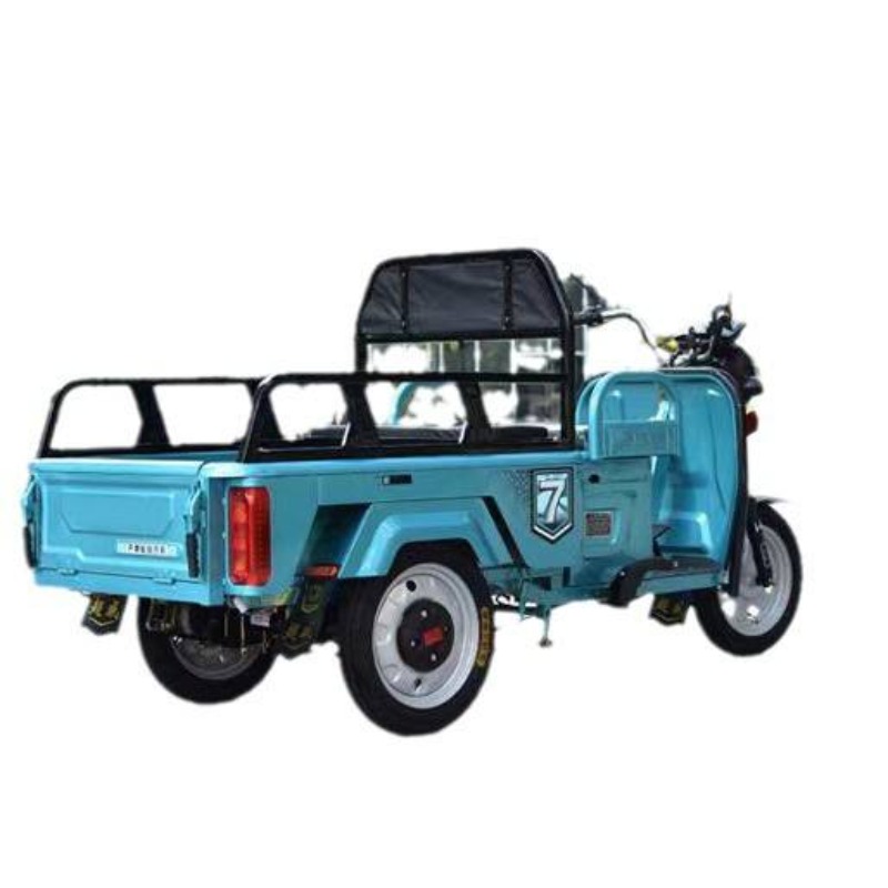 Electric Leisure Tricycle 4