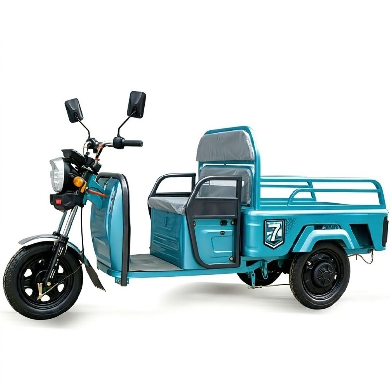 Electric Leisure Tricycle 4
