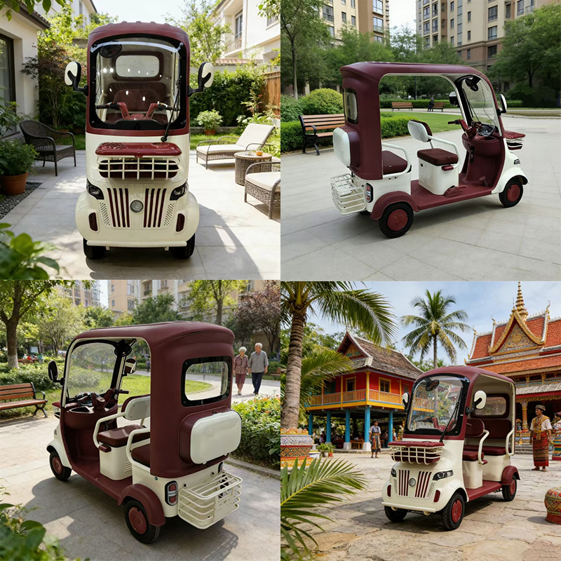Electric Leisure Tricycle 5