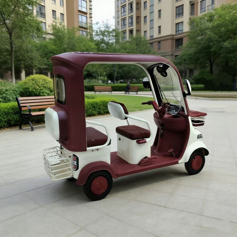 Electric Leisure Tricycle 5