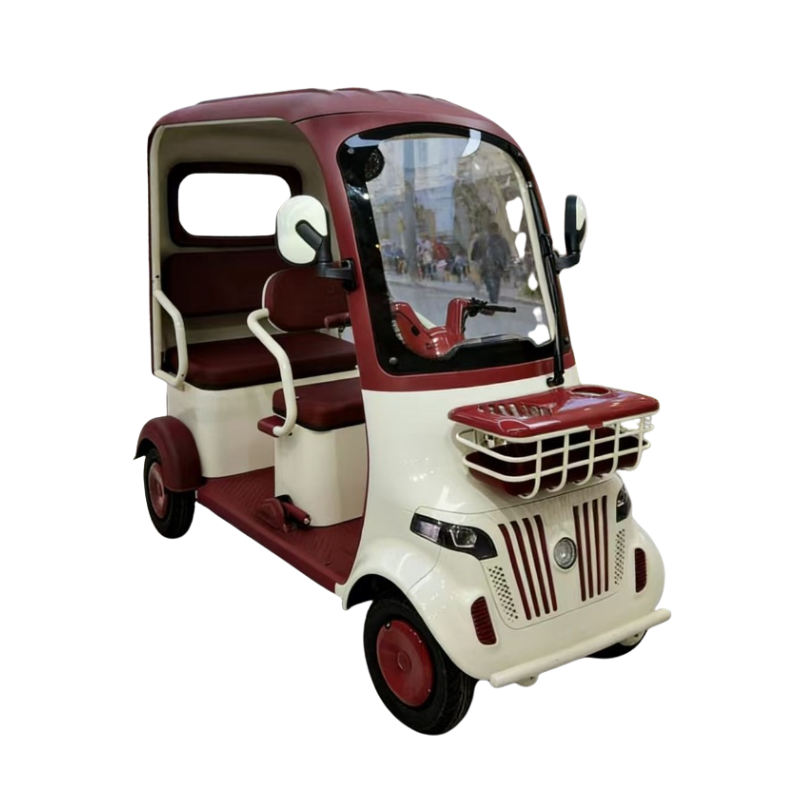 Electric Leisure Tricycle 5