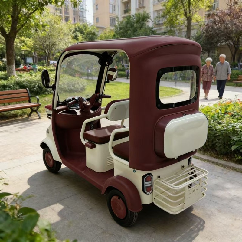 Electric Leisure Tricycle 5