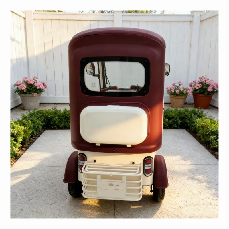 Electric Leisure Tricycle 5