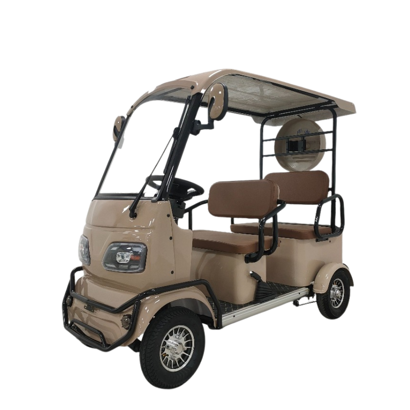 Electric Leisure Tricycle 6