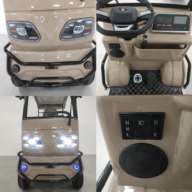 Electric Leisure Tricycle 6