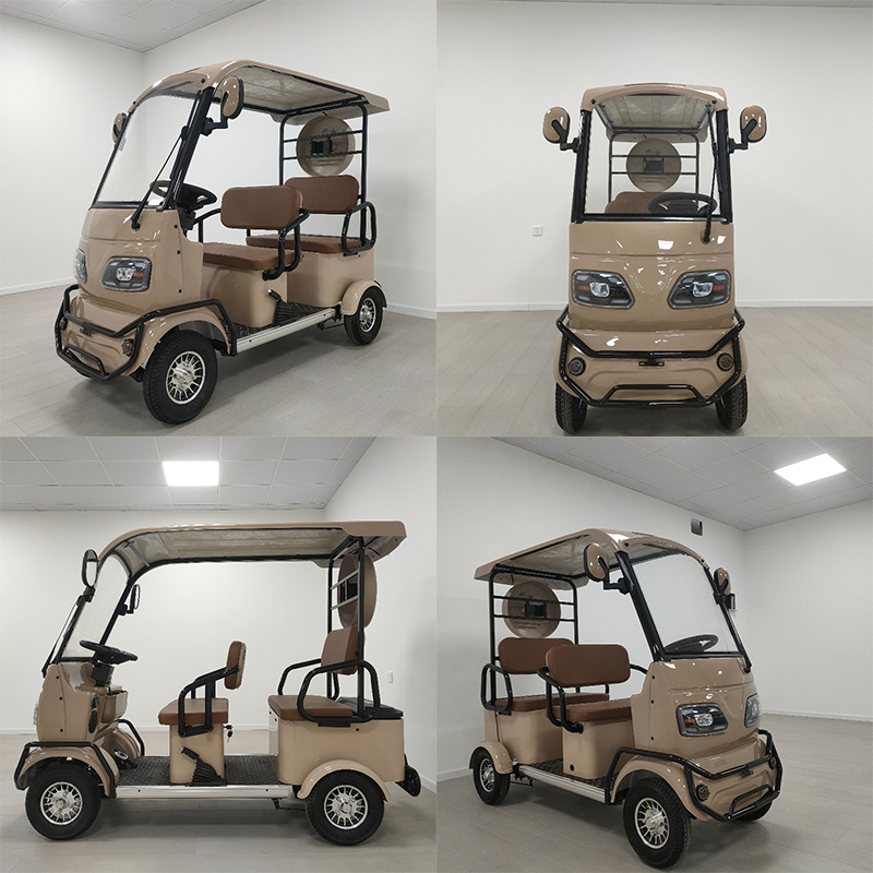 Electric Leisure Tricycle 6