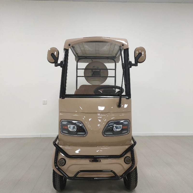 Electric Leisure Tricycle 6