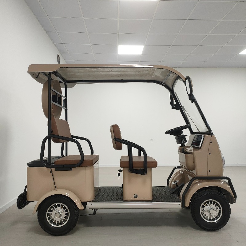 Electric Leisure Tricycle 6