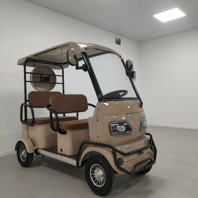 Electric Leisure Tricycle 6