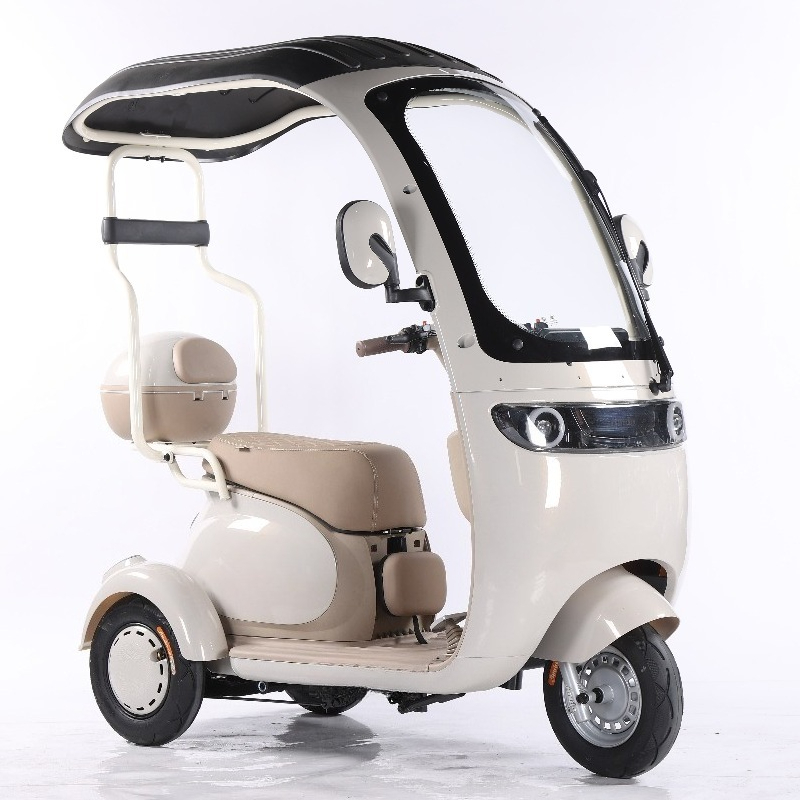 Electric Leisure Tricycle 7