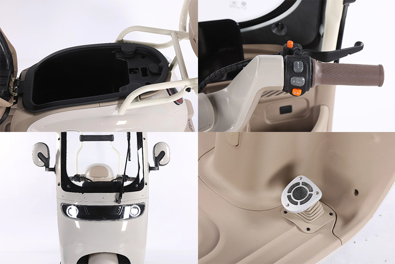 Electric Leisure Tricycle 7