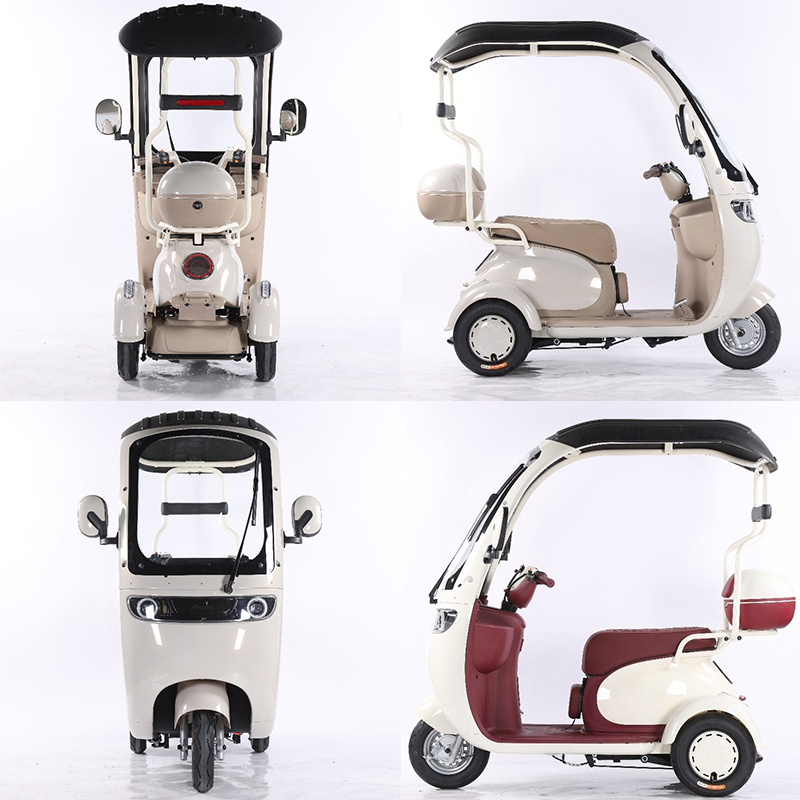 Electric Leisure Tricycle 7