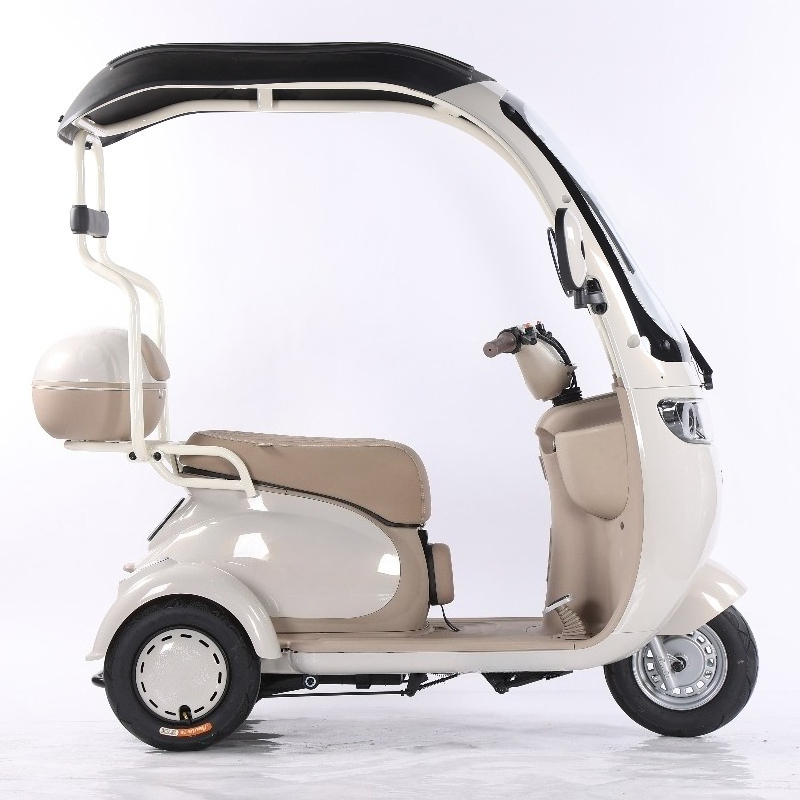 Electric Leisure Tricycle 7
