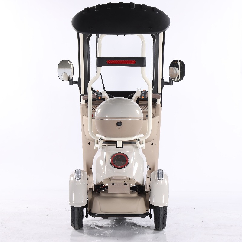Electric Leisure Tricycle 7