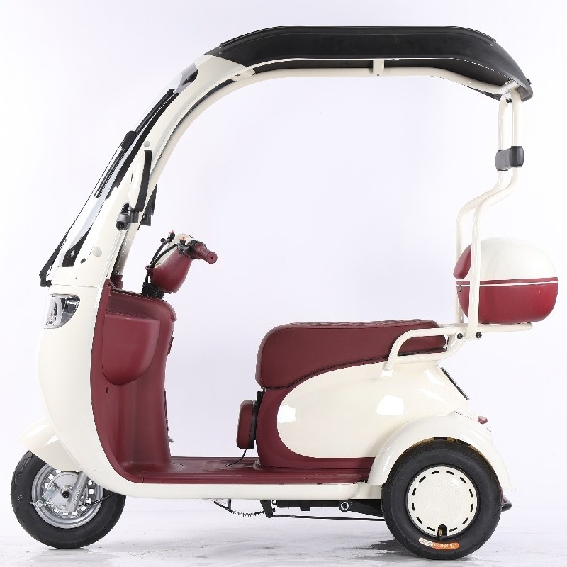Electric Leisure Tricycle 7