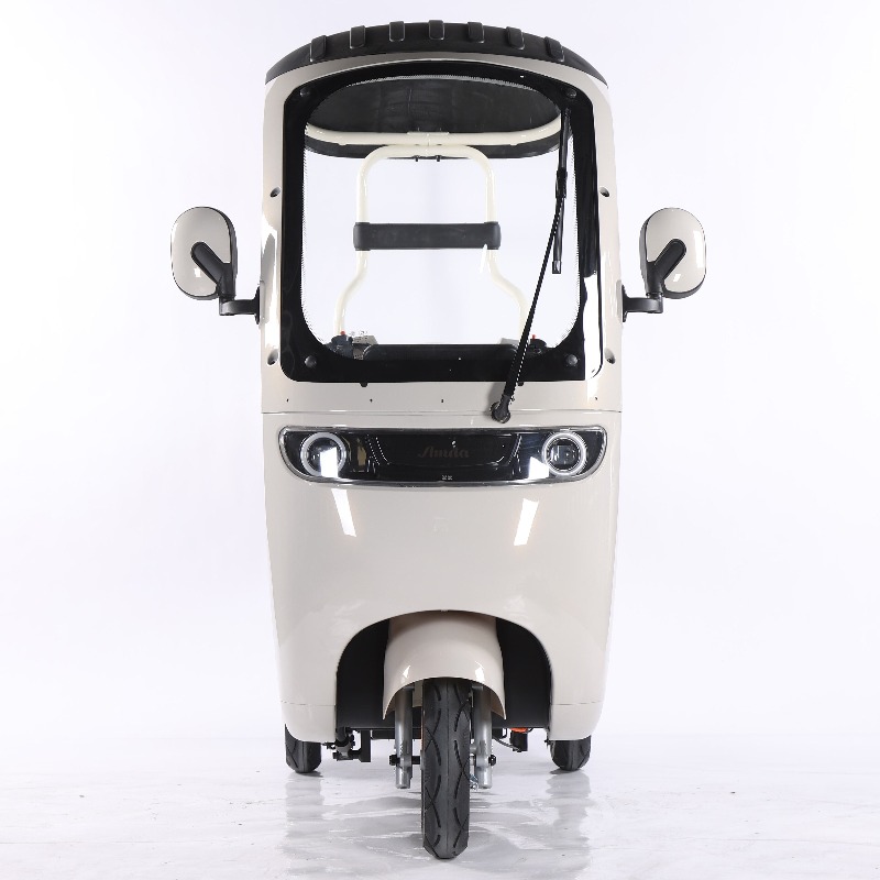 Electric Leisure Tricycle 7